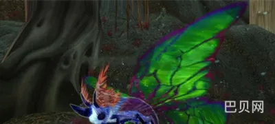 魔兽世界猎人宠物(wow猎人稀有宝宝图鉴)