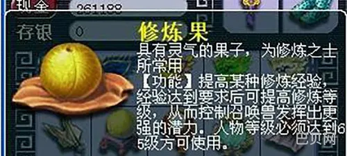 修炼果可以增加多少点修炼经验(100个修炼果能到多少级)