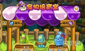 洛克王国宠物农庄的蛋哪个好(洛克王国培育蛋怎么培育最强)