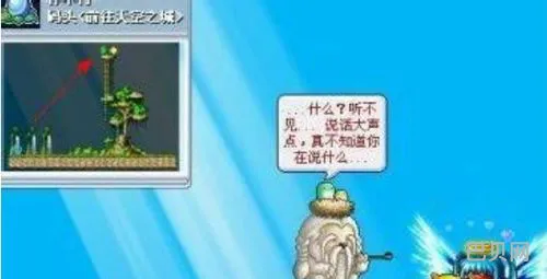 冒险岛时间神殿怎么去(如何进入冒险岛游戏)