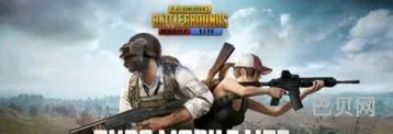 绝地求生轻量版官网(pubg轻体原版下载)