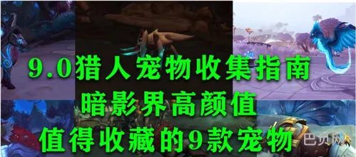 猎人最实用的宝宝(猎人10级稀有宝宝)