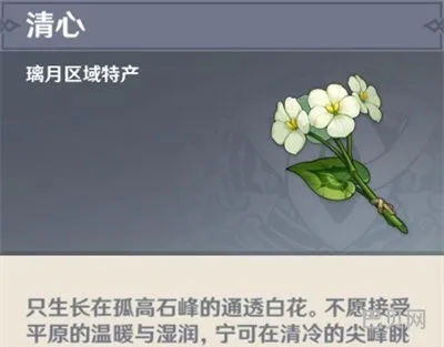 原神清心采集点(原神清心商人位置)