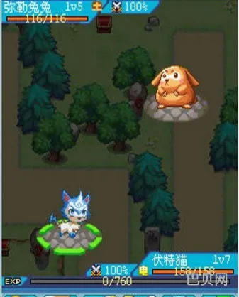 宠物王国6烈火上帝版(超级支付通宠物王国6烈火)