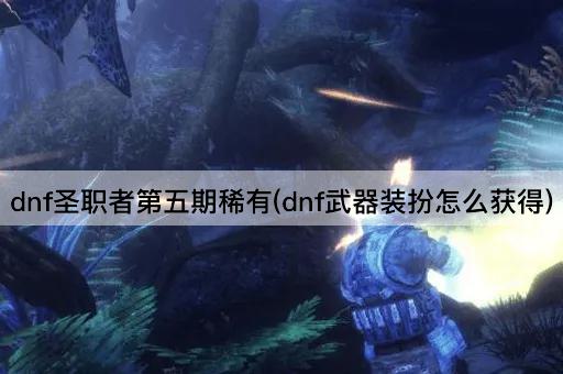dnf圣职者第五期稀有(dnf武器装扮怎么获得)