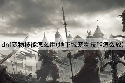 dnf宠物技能怎么用(地下城宠物技能怎么放)