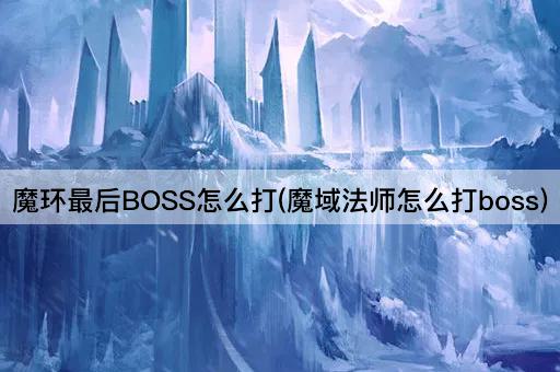 魔环最后BOSS怎么打(魔域法师怎么打boss)