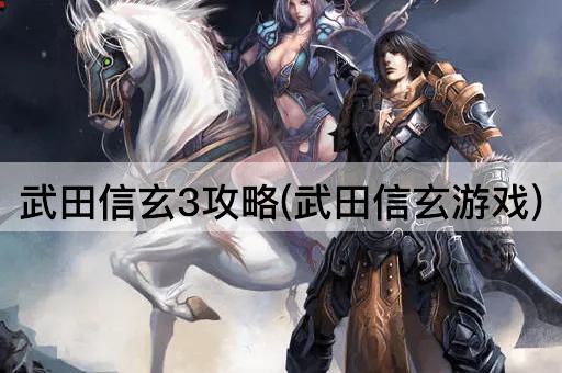 武田信玄3攻略(武田信玄游戏)