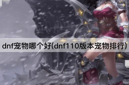 dnf宠物哪个好(dnf110版本宠物排行)