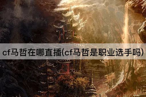 cf马哲在哪直播(cf马哲是职业选手吗)