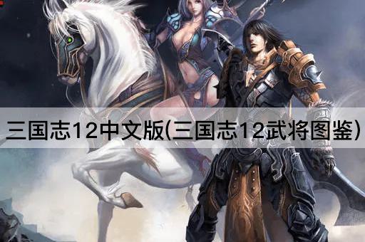 三国志12中文版(三国志12武将图鉴)