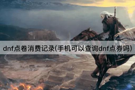 dnf点卷消费记录(手机可以查询dnf点券吗)