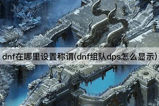 dnf在哪里设置称谓(dnf组队dps怎么显示)