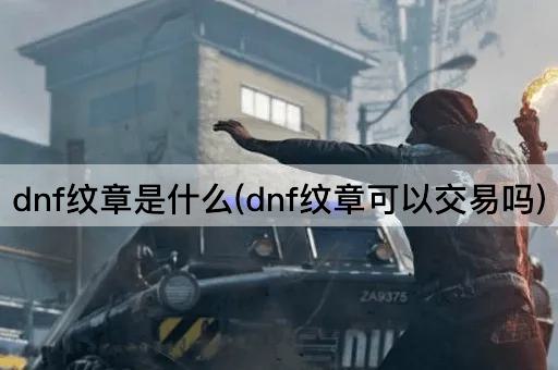 dnf纹章是什么(dnf纹章可以交易吗)