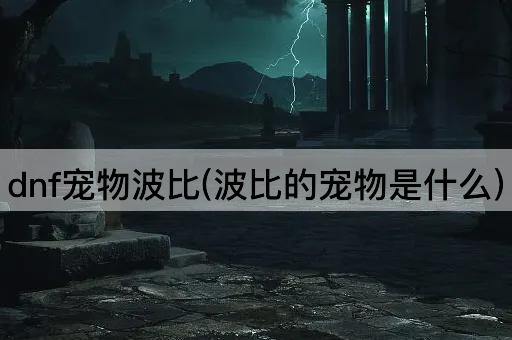 dnf宠物波比(波比的宠物是什么)