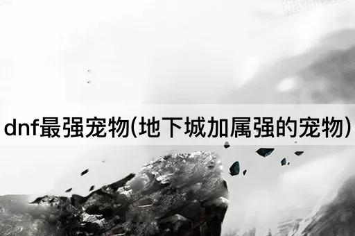 dnf最强宠物(地下城加属强的宠物)