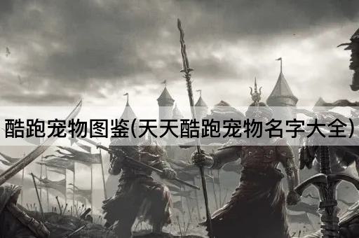 酷跑宠物图鉴(天天酷跑宠物名字大全)