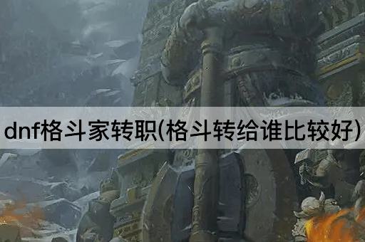dnf格斗家转职(格斗转给谁比较好)