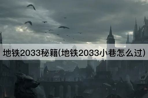 地铁2033秘籍(地铁2033小巷怎么过)