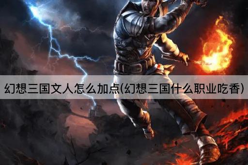 幻想三国文人怎么加点(幻想三国什么职业吃香)