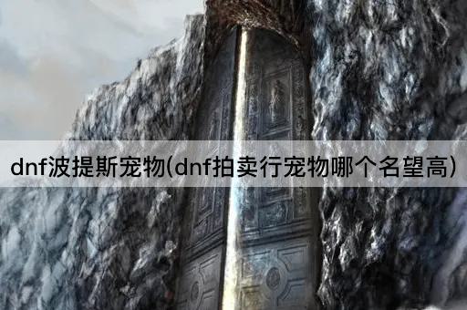 dnf波提斯宠物(dnf拍卖行宠物哪个名望高)