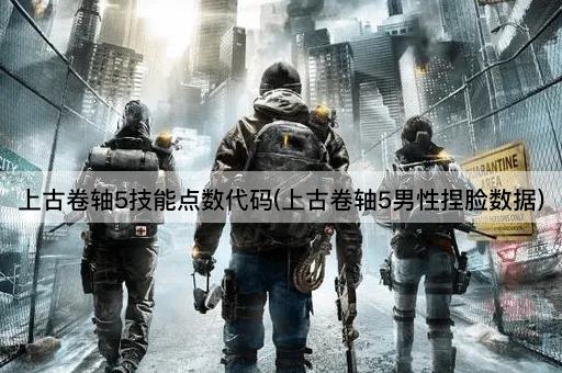 上古卷轴5技能点数代码(上古卷轴5男性捏脸数据)
