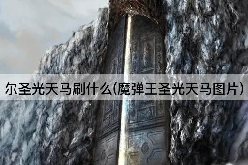 尔圣光天马刷什么(魔弹王圣光天马图片)