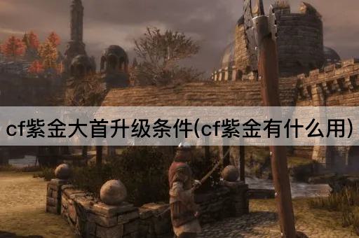cf紫金大首升级条件(cf紫金有什么用)