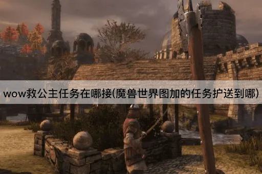 wow救公主任务在哪接(魔兽世界图加的任务护送到哪)