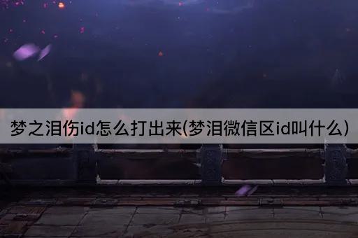 梦之泪伤id怎么打出来(梦泪微信区id叫什么)