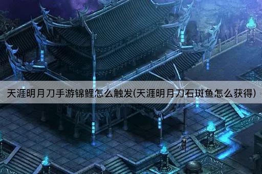 天涯明月刀手游锦鲤怎么触发(天涯明月刀石斑鱼怎么获得)