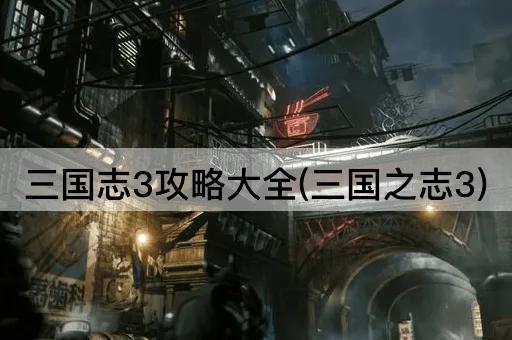 三国志3攻略大全(三国之志3)