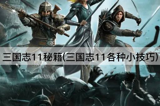 三国志11秘籍(三国志11各种小技巧)