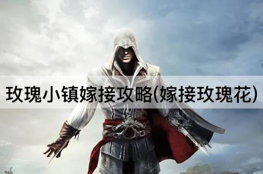 玫瑰小镇嫁接攻略(嫁接玫瑰花)