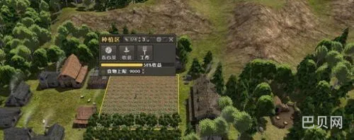 放逐之城产量最高的作物(放逐之城农田最佳大小)