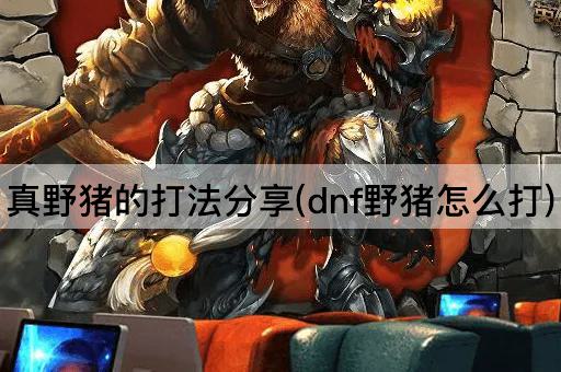 真野猪的打法分享(dnf野猪怎么打)