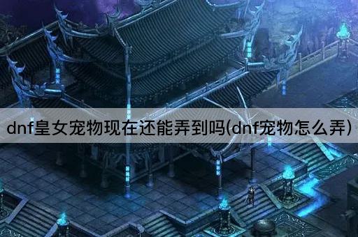 dnf皇女宠物现在还能弄到吗(dnf宠物怎么弄)