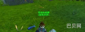 战斗宠物训练师在哪里(战斗宠物怎么升级)