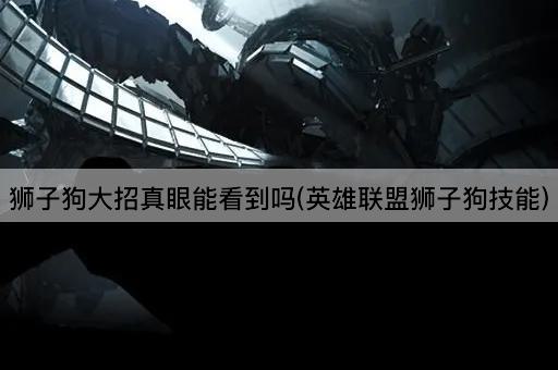 狮子狗大招真眼能看到吗(英雄联盟狮子狗技能)