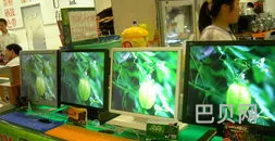 MAYA玛雅(关于玛雅maya的信息)