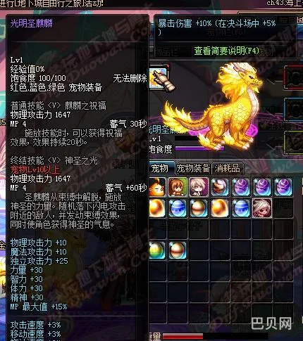 拍卖行能买到的宠物宝珠(地下城宠物附魔宝珠)