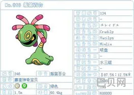 口袋妖怪绿宝石493图文攻略(绿宝石493所有精灵分布)