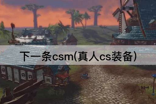 下一条csm(真人cs装备)