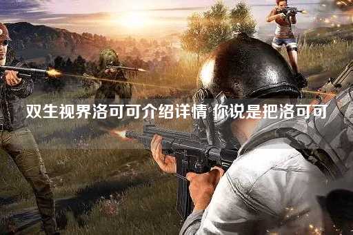 双生视界洛可可全面解析洛可可的魅力
