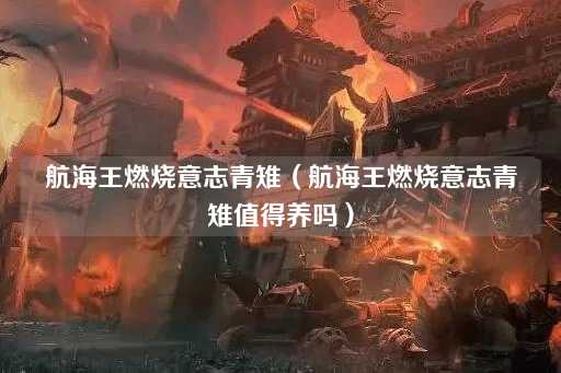 航海王燃烧意志青雉：培养价值分析