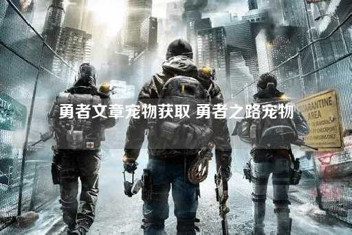 勇者之路：宠物获取指南