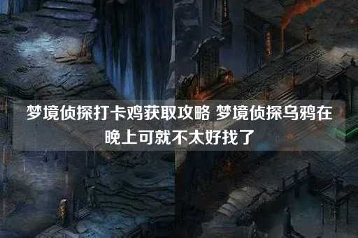 梦境侦探：夜间寻乌鸦，打卡鸡攻略