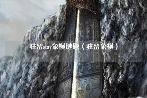 驻留Stay：棋局之谜